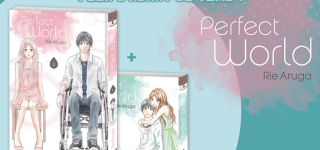 Un pack découverte pour Perfect World