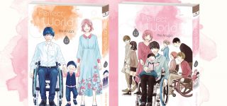 Une édition collector pour le dernier tome de Perfect World