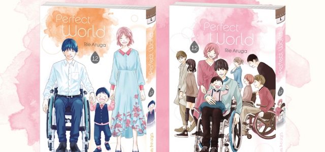 Une édition collector pour le dernier tome de Perfect World