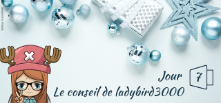 Jour 7 : Le conseil de ladybird3000